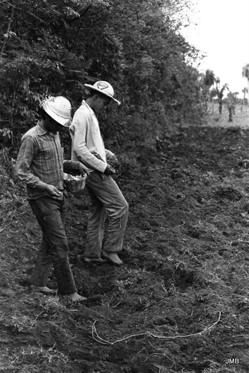 AÑO 1972 - BLANCO Y NEGRO - VIDA CAMPESINA EN PARAGUAY (JOSÉ MARÍA BLANCH)